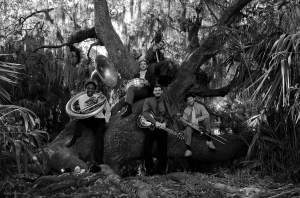 Swamp Donkeys Website photo.