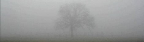 Zombie picture "The Longer You Stare"