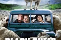 Black Sheep movie poster
