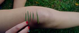 It Follows - green markings on leg. 
