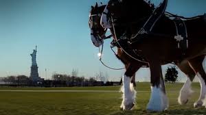 The Budweiser Clydesdales bowing to the Statue of Liberty and New York City after 911.